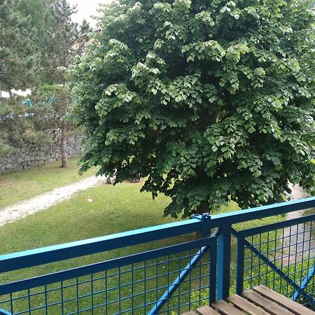 Duplex Lumineux - 40M2 - 2 Chambres - Balcon Terrasse - Parking - Entierement Renove En Mai 2024 코트레 외부 사진